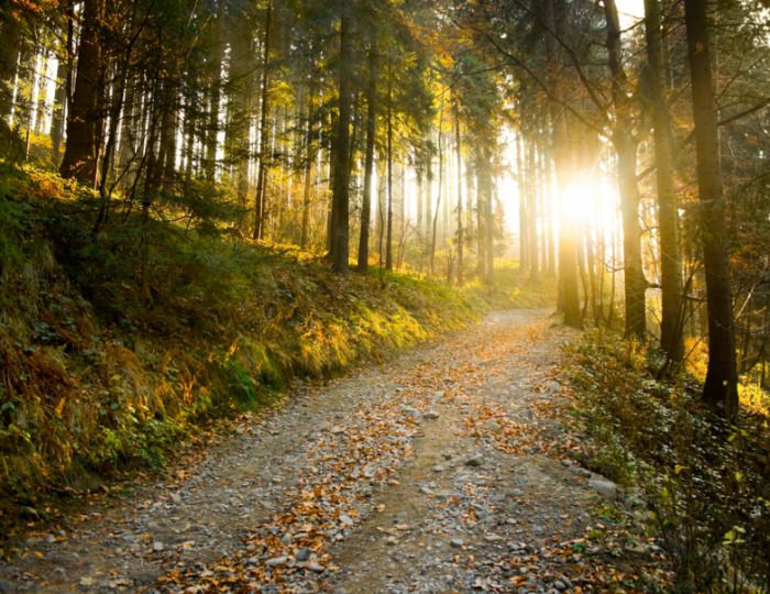 Терренкур - Санаторий «Волна»