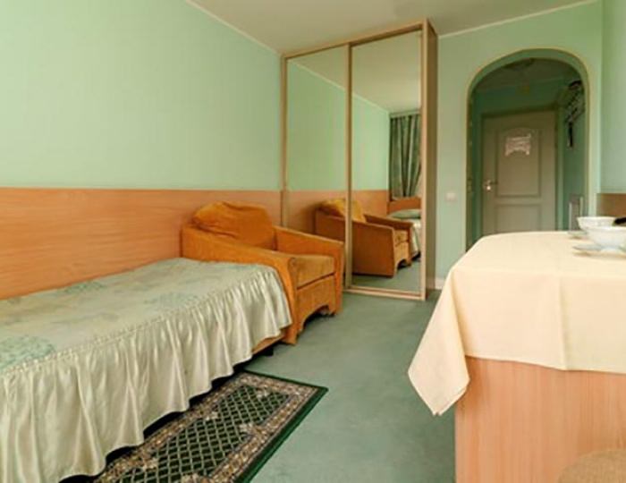 Стандарт 1-местный - Санаторий «Волна»
